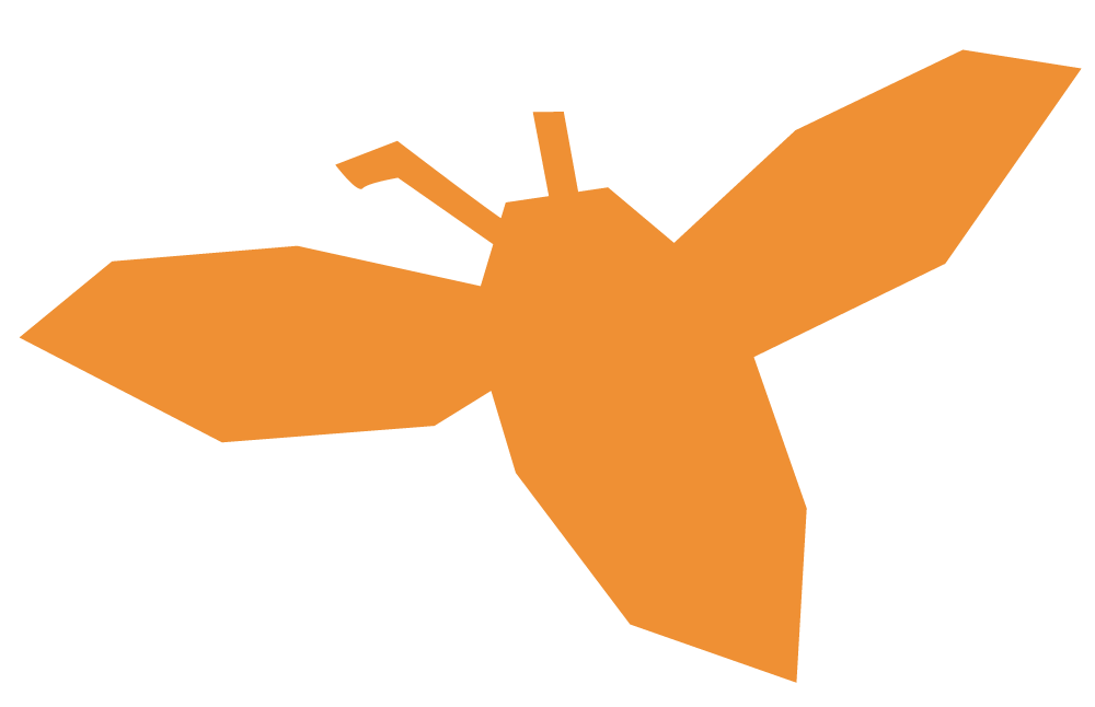 bee-orange